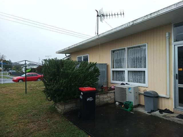 16 Veronica Avenue Marewa_3