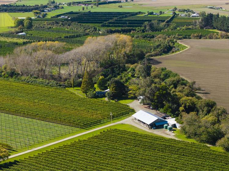 139 Taurau Valley Road Manutuke_14