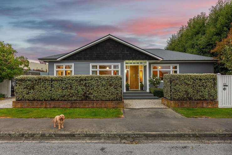 Mishka the cat muscled her way into listing photos for her home at 10 Astelia Way, in Waipahihi, Taupō. Photo / Supplied