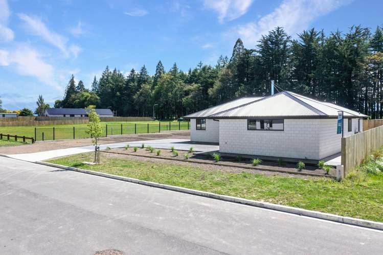 36 Arrowsmith Drive Methven_31