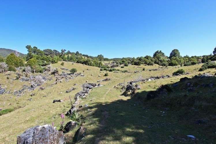 Takaka Hill Highway Motueka_5