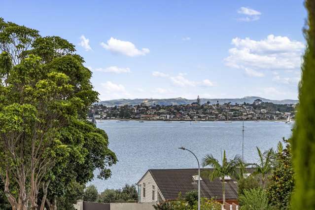 19 Vanessa Crescent Glendowie_1