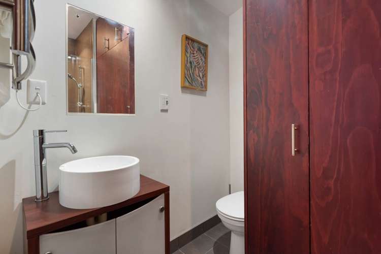 52 Richmond Road Grey Lynn_15