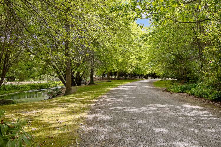 838 Rapaura Road Rapaura_51