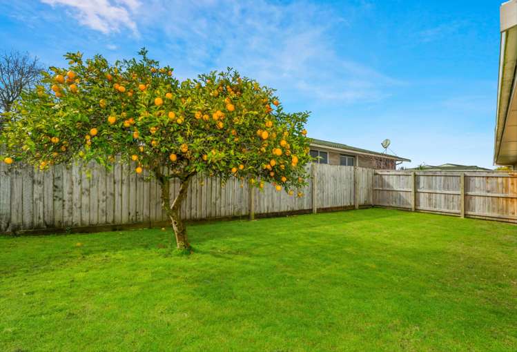 26 Rushton Road Morrinsville_15