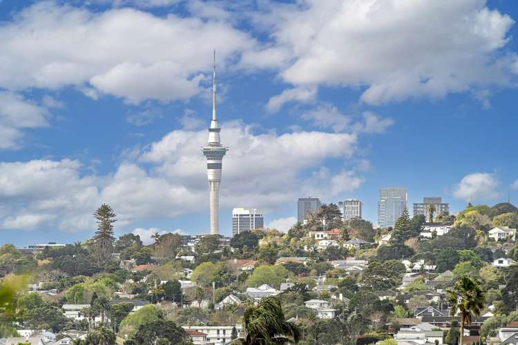 14 Dally Terrace Mount Roskill_4