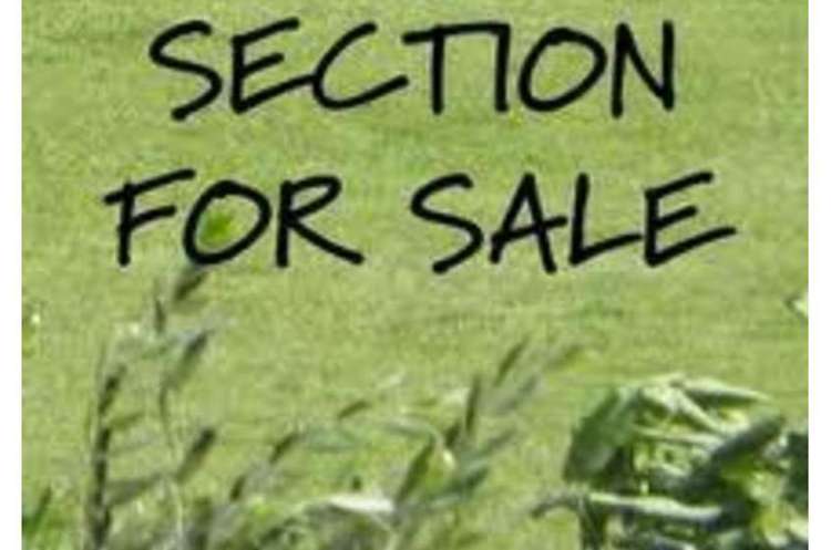 48 Greenfinch Road Hobsonville_3