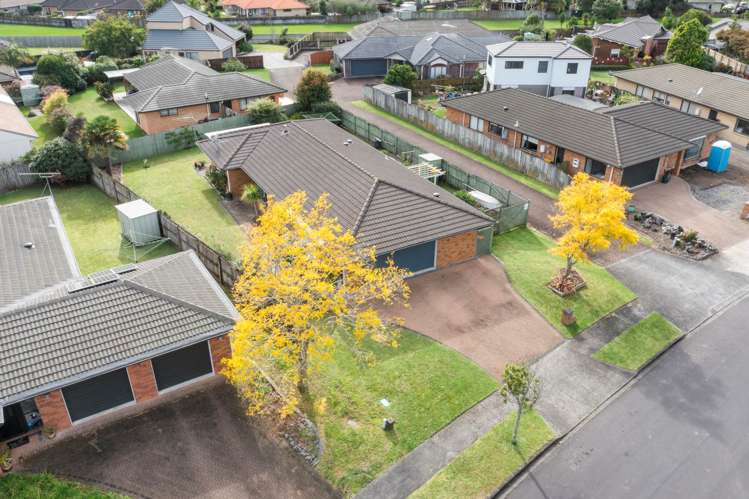 17 Lothian Brae Wattle Downs_1