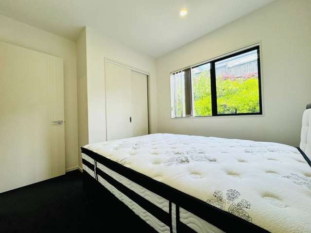 13 Hing Street Flat Bush_1