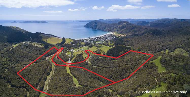 Lot 2 & 3/1032 Taupo Bay Road_0