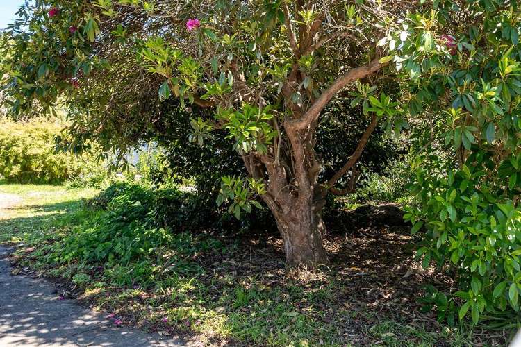 15A Kent Street Carterton_10