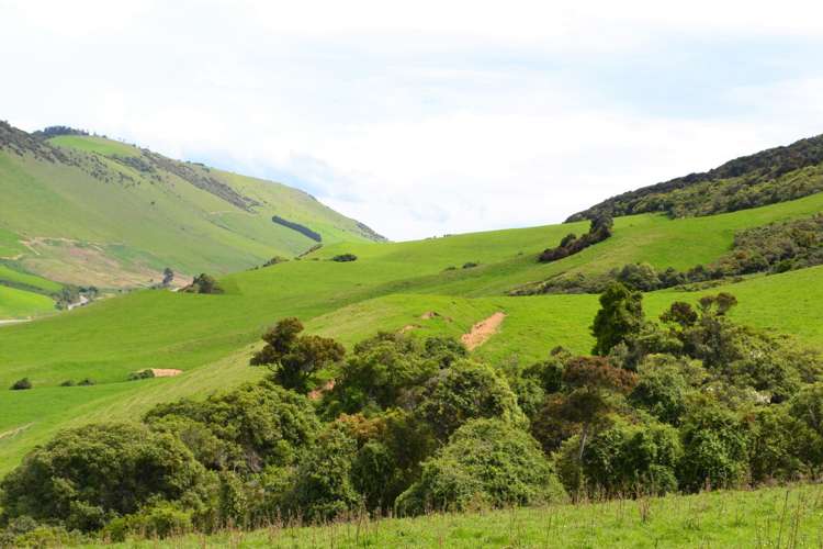 771 Hunt Road Catlins Surrounds_8