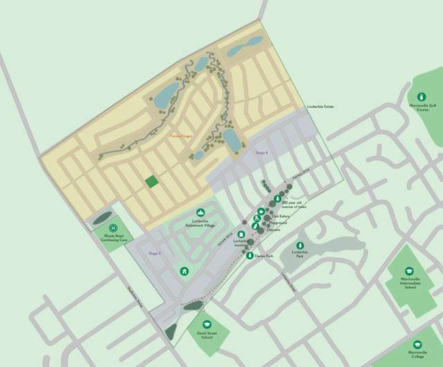 19 Werewere Street Morrinsville_4