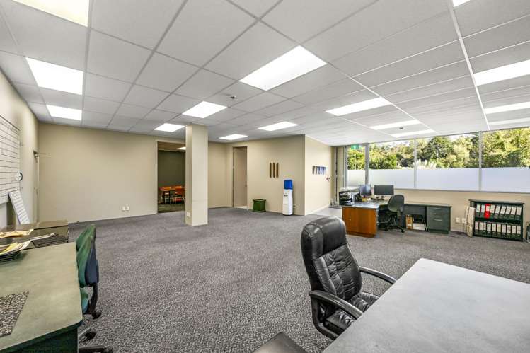 1/38 Cheshire Street Parnell_8