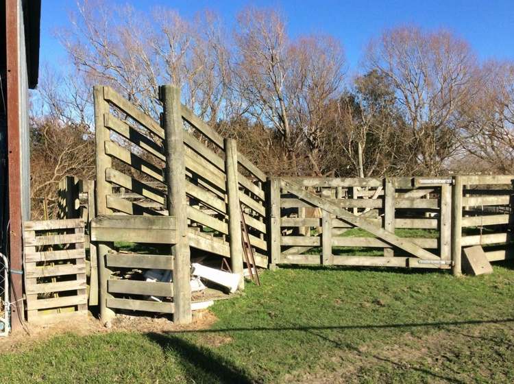 172 Milltown Road Southbridge_11