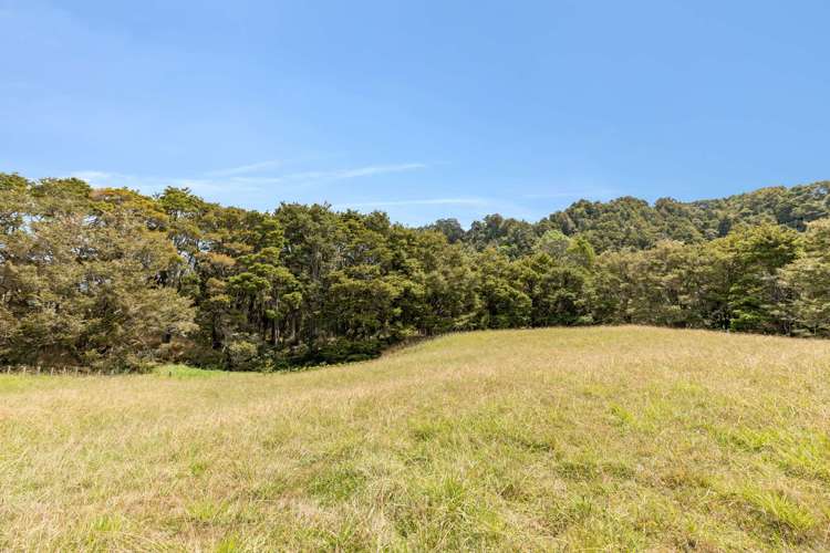 645 West Coast Road Makarau_20
