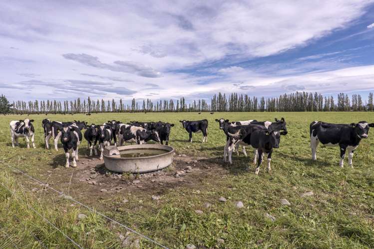 904 Dip Road Methven_23