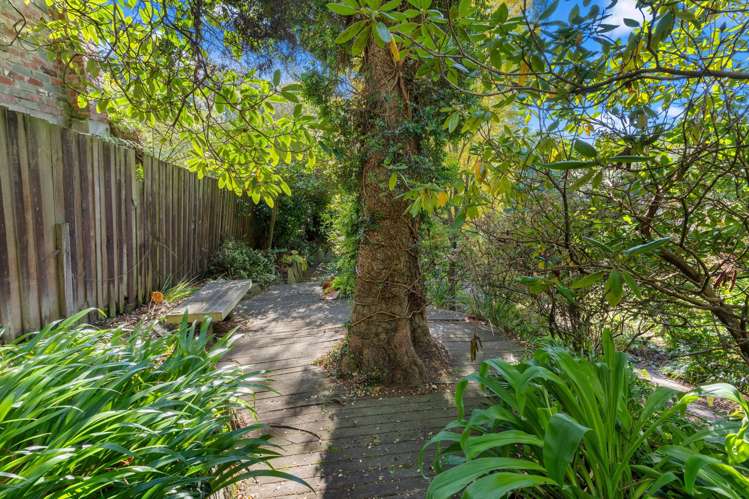 16 Montpellier Street Dunedin Central_37