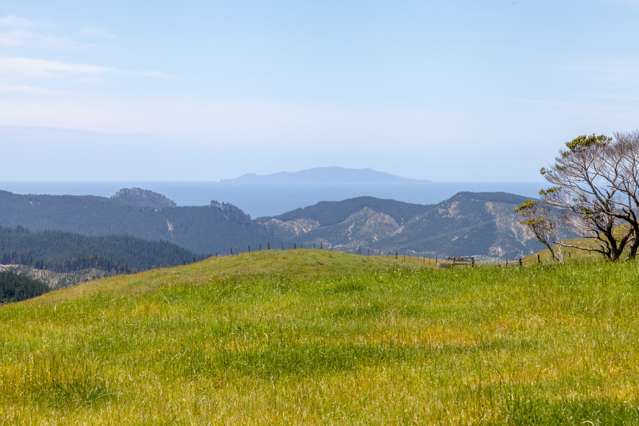 275 Mcbeth Road Hikuai_1