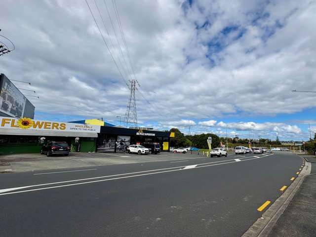 72 Barrys Point Road Takapuna_3
