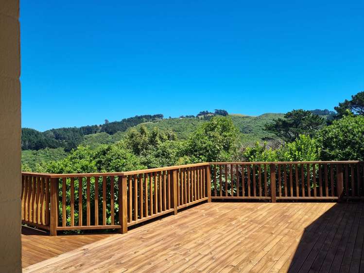 4 Pine Tree Lane Korokoro_18