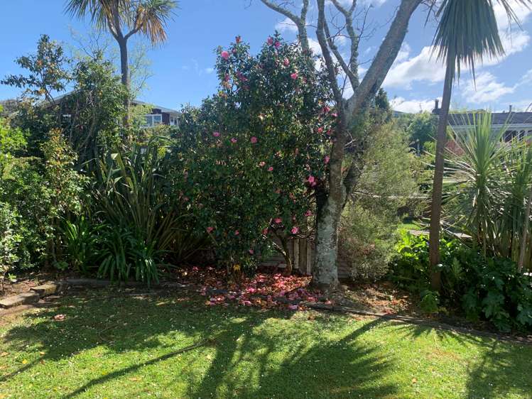 19 Puriri Crescent Masterton_28