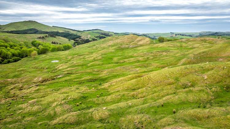 139 Clareinch Road Omakere_24