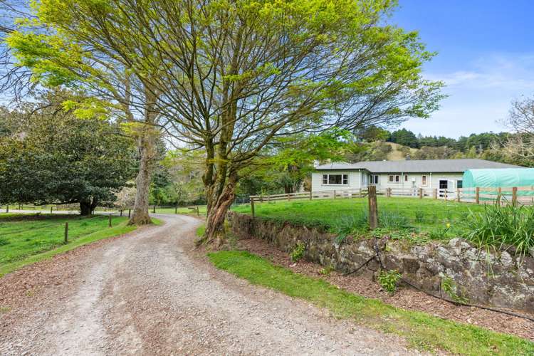 814A Allport Road Paengaroa_21