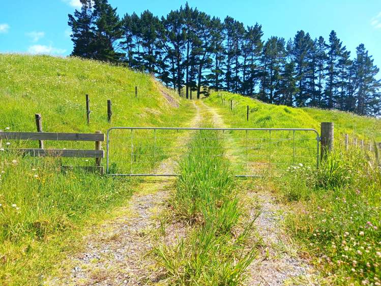 Lot 0 Te Rore Road Kaitaia_24