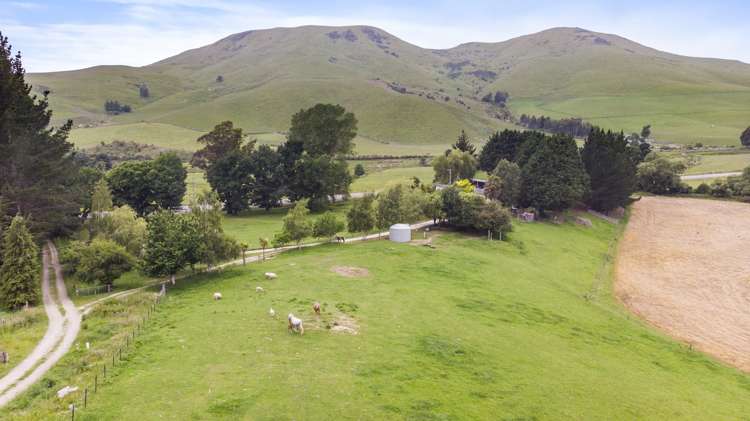 879 Palmerston-Waikouaiti Road Palmerston_20