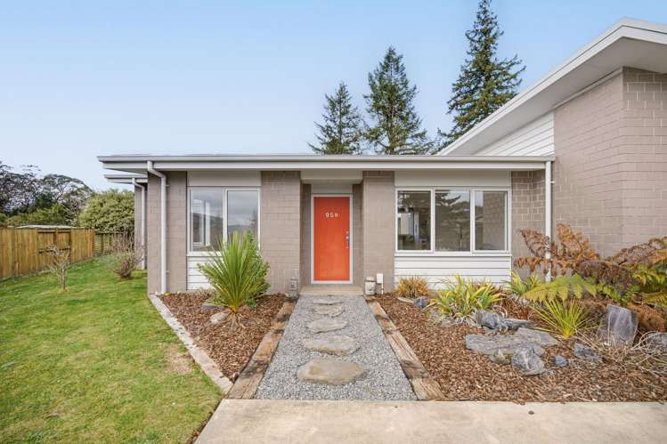 95B Tihi Road Springfield_4