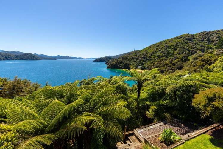 2069 Queen Charlotte Dr Marlborough Sounds_22
