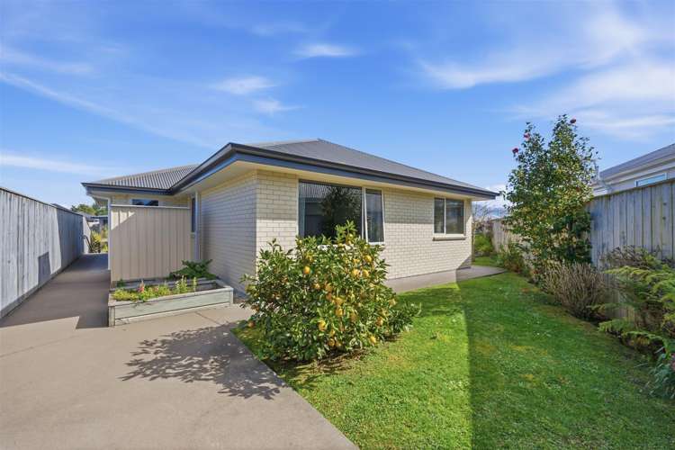 1 Puketutu Grove Motueka_14
