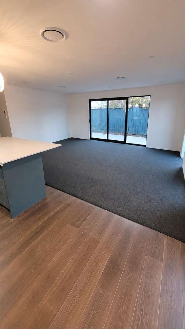  3 Wright Street Geraldine_3