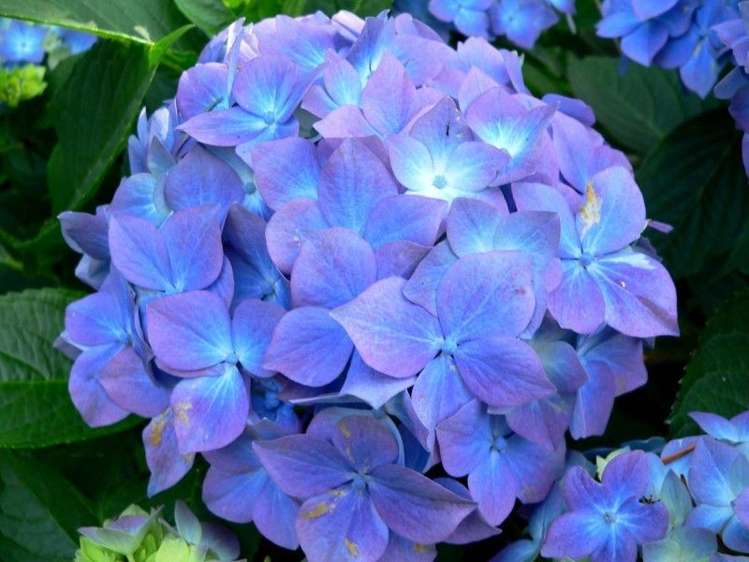 16 Dunrobin Lane (Pvt) Maungatapere_20