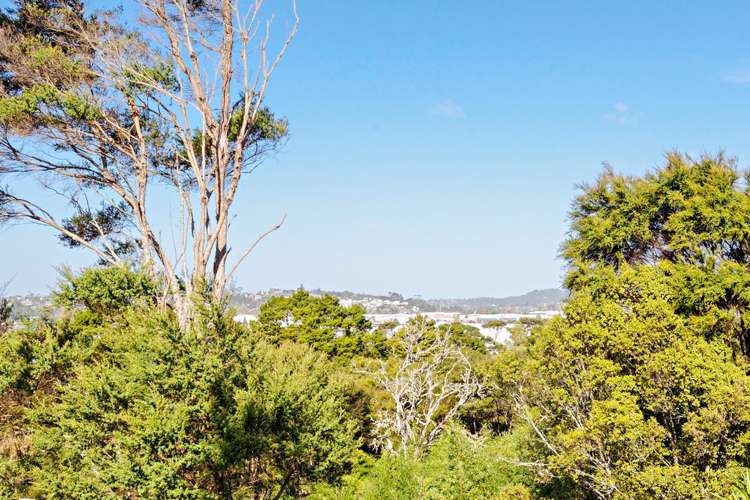 3 Shona Place Henderson_17