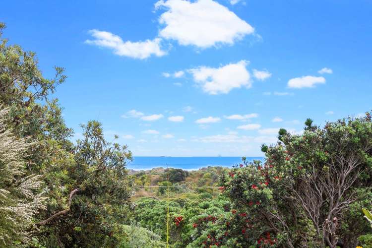 266 Bethells Road Bethells Beach_8