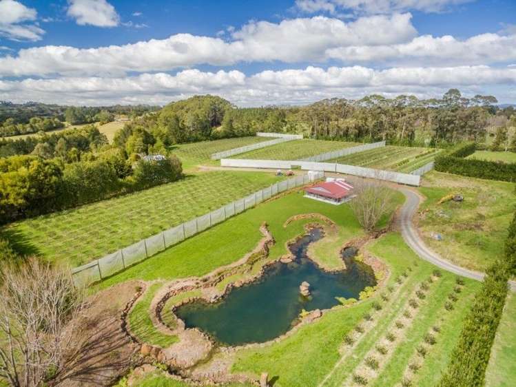 145a Waimate North Road Kerikeri_14
