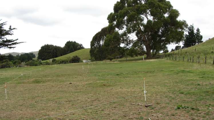 29 Cullen Street Eketahuna_5