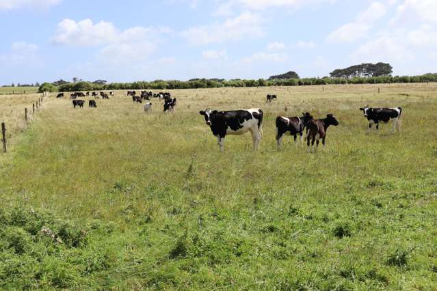 TENDER - LAND FOR LEASE