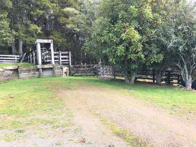 539 Martin Road Kaeo_15