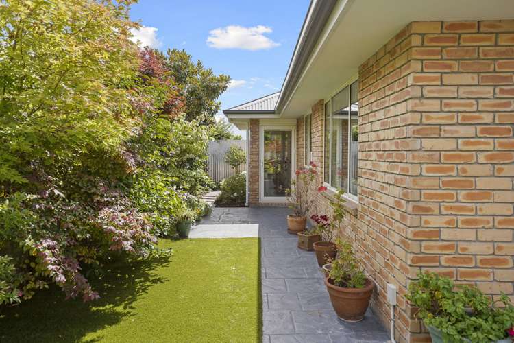 356a Barrington Street Spreydon_14