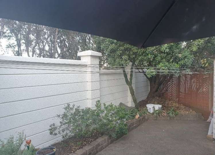 18a Hudson Street Ellerslie_12