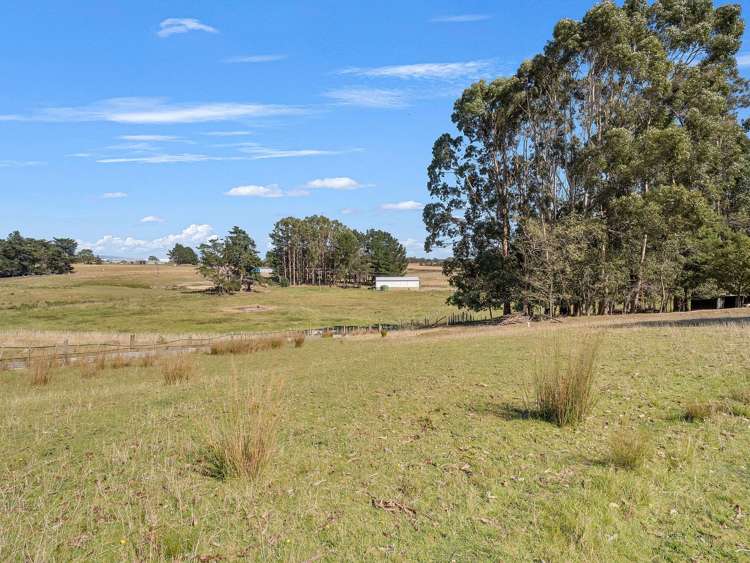 371 Tutaki Road Bunnythorpe_23