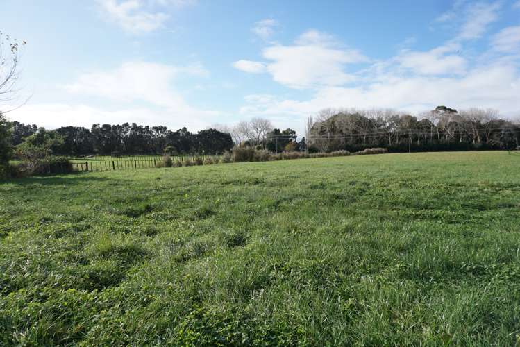 69 Avenue North Road Levin_6