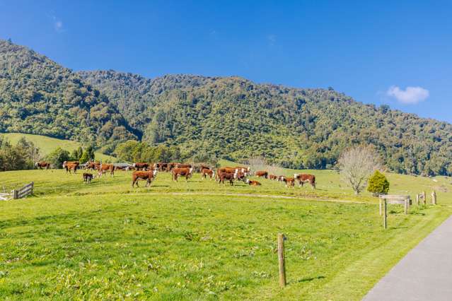 1578 Old Te Aroha Road Gordon_4