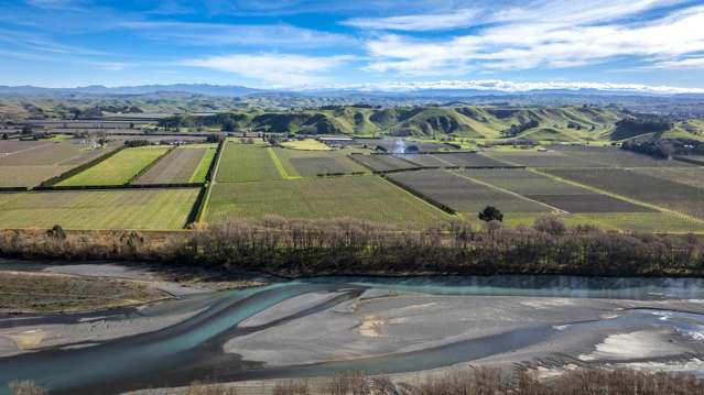 Strategic portfolio of five Hawke's Bay orchards
