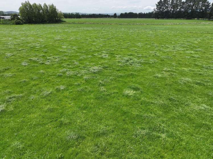 261 Middle Road Tapanui_15