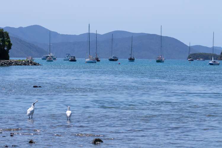 291b Waikawa Road Waikawa_15