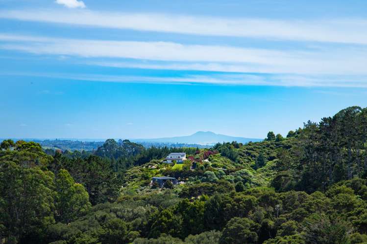 180 Ara-kotinga Whitford_17